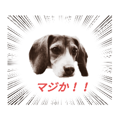 SUZU_20230524084325