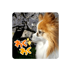 yuka_20230524144532