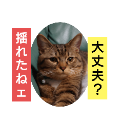 nob_20230523202103