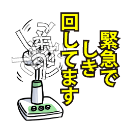 RESPECTemerald_s_0522