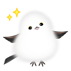 Cute little birds "Shimaenaga" 6