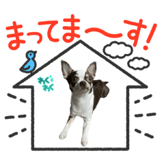 nao_20230524001641