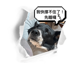 我的名字叫花妞喔！