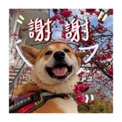 廢柴TAKI的日常