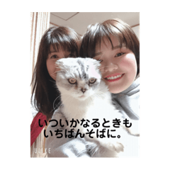 yuka_20230524140152