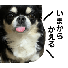 Natsumi_20230524171311