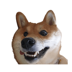 Ari Shiba