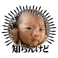 yoshinobu_20230525074441