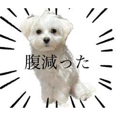 Cream_20230524210216