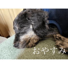 miyuu_20230524230943