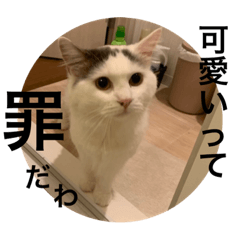 suzu_20230525032145