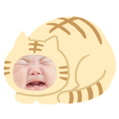 suzu_20230524222735
