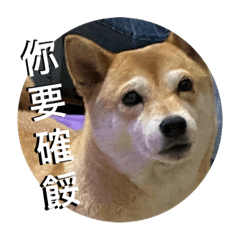 人生百態笑笑看待ʕʘ̅͜ʘ̅ʔ