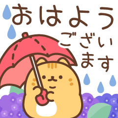 Round cat's pop-up rainy season sticker