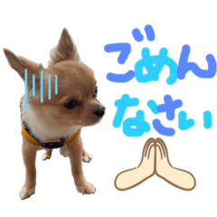 arisa_20230524203118