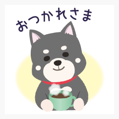 kuroshiba-shibainu