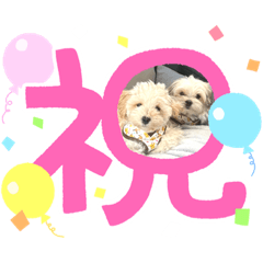 Miyuu_20230525111229