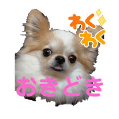 arukoha_20230524215631