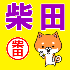 ★柴田(しばた・シバタ)な柴犬のシバッキー