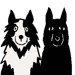 東橋的黑狗跟黑白狗