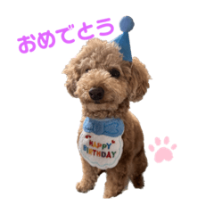 arisa_20230524234638