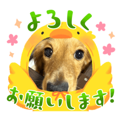 omochi_20230525113645