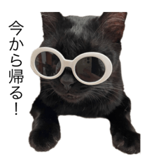 saori_20230525115756