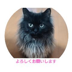 nao_20230525095418
