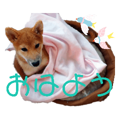 SAKURA_20230525203641