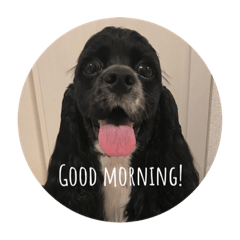 Hikari_20230525224430