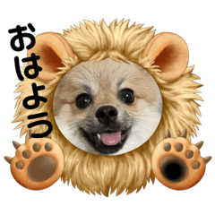 Arisa_20230526104832