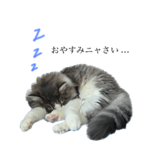 ToRi_20230525214449