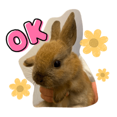 ARISA_20230525224508