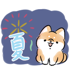 Shiba Inu Dog<2023summer>