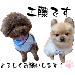 sayuri_20230526120445