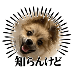 Arisa_20230526105948