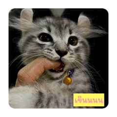 NOINHA_20230526112200