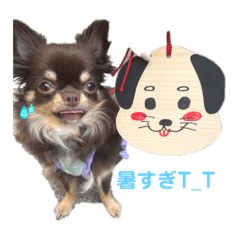 naokichan_20230526151143