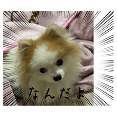 kana_20230526190308