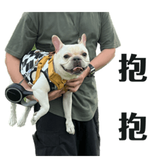 三歲這件四