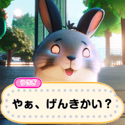 Rabbit message_ver0.1