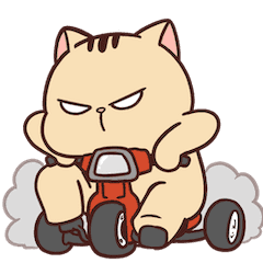 Cat Of Teror