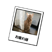 little5_20230527072215