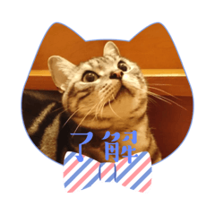masakichi_20230526224233