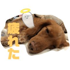 Hana_20230527135012