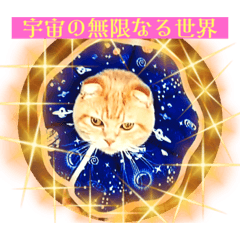 Victoria Wonder_20230526193319