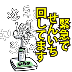 せんいちリスペクト（エメラルド）