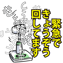 きょうぞうリスペクト（エメラルド）