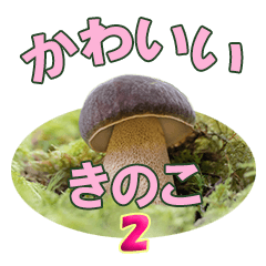 Kawaii Mushrooms Japanese Message 2