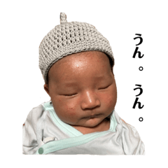 sakura_20230527170515